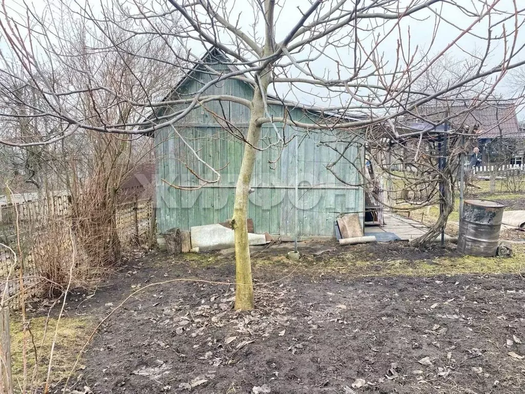 Участок в Брянская область, Брянск Родина садоводческое объединение,  ... - Фото 1
