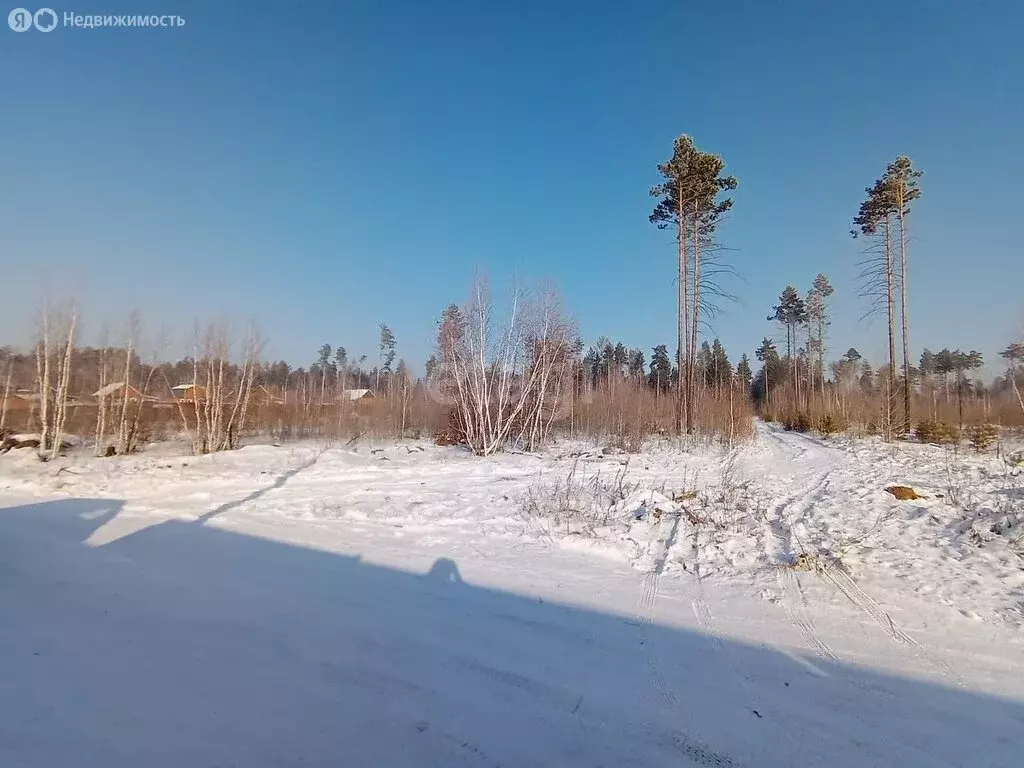 Участок в Читинский район, село Смоленка (46.6 м) - Фото 0