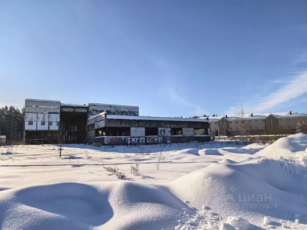 Производственное помещение в Калужская область, Боровск ул. Некрасова, ... - Фото 1