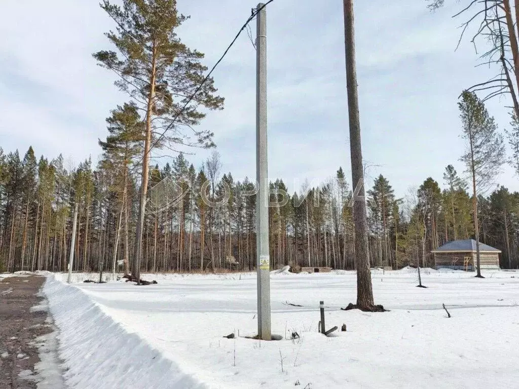 Участок в Тюменская область, Нижнетавдинский муниципальный округ, с. ... - Фото 2