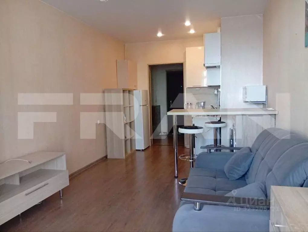 Студия Санкт-Петербург просп. Маршала Блюхера, 8к1 (26.0 м) - Фото 2