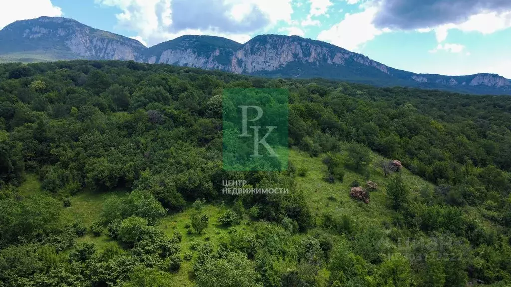 Участок в Крым, Бахчисарайский район, Голубинское с/пос, с. Соколиное ... - Фото 1