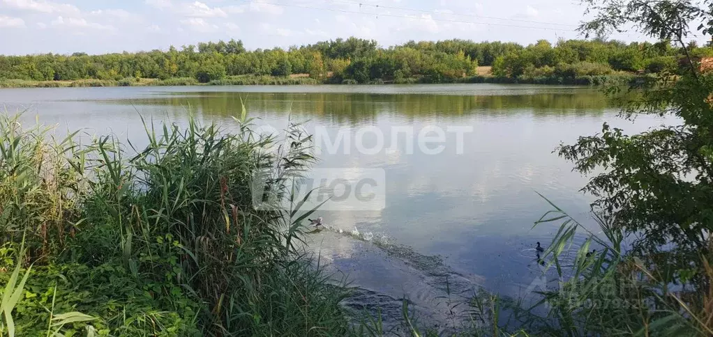 Участок в Краснодарский край, Кореновский район, Журавская ст-ца ... - Фото 1