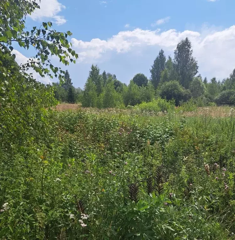 Участок в Московская область, Можайский муниципальный округ, д. ... - Фото 1