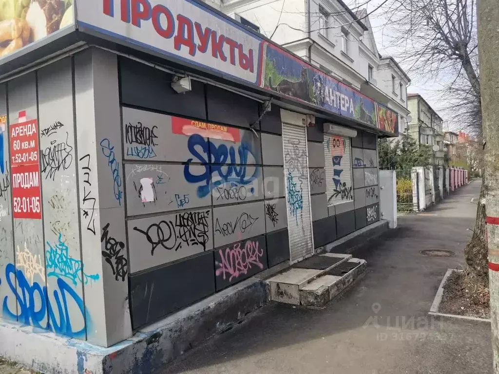 Торговая площадь в Калининградская область, Калининград ул. Кутузова, ... - Фото 0
