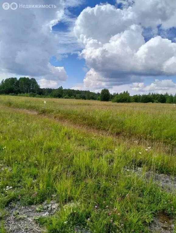 Участок в Низинское сельское поселение, территория Ингрия (10 м) - Фото 1