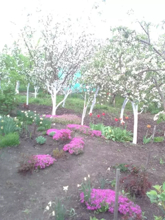 Участок в Ставропольский край, Ставрополь Кравцово садовое ... - Фото 2