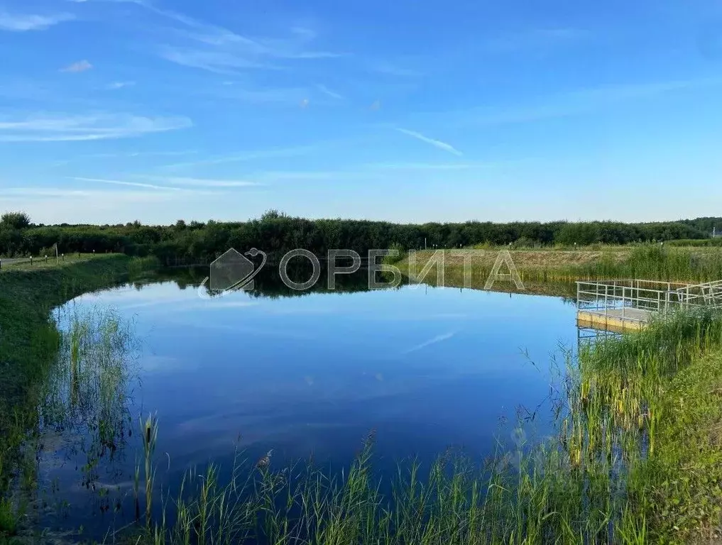 Участок в Тюменская область, Тюмень СОСН Березовое Озеро тер., ул. ... - Фото 1