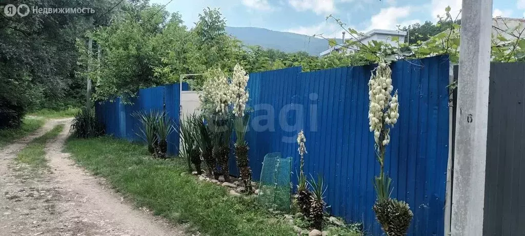 Участок в Краснодарский край, городской округ Геленджик, село ... - Фото 1