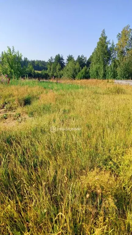 участок в ленинградская область, приозерский район, пос. сосново, . - Фото 1