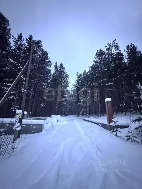 Участок в Свердловская область, Дегтярск ул. Рассветная, 35 (20.0 ... - Фото 1