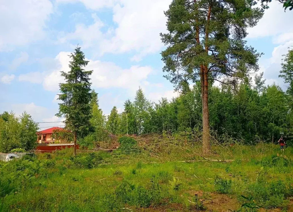 Участок в Ленинградская область, Кировский район, Мгинское городское ... - Фото 2