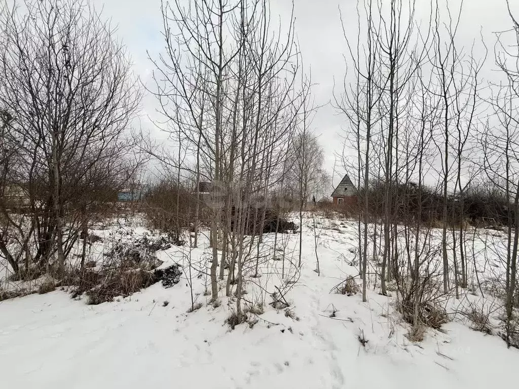Участок в Вологодская область, Вологда Керамик садоводческое ... - Фото 2