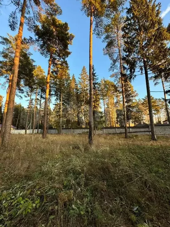 Участок 10 сот. (личное подсобное хозяйство (лпх)) - Фото 1