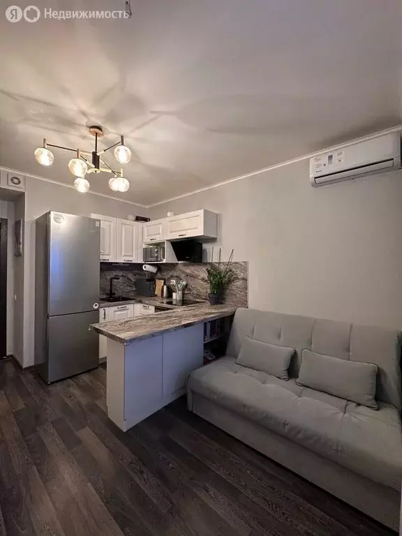 Квартира-студия: посёлок Шушары, Старорусский проспект, 13к1 (20.4 м) - Фото 2