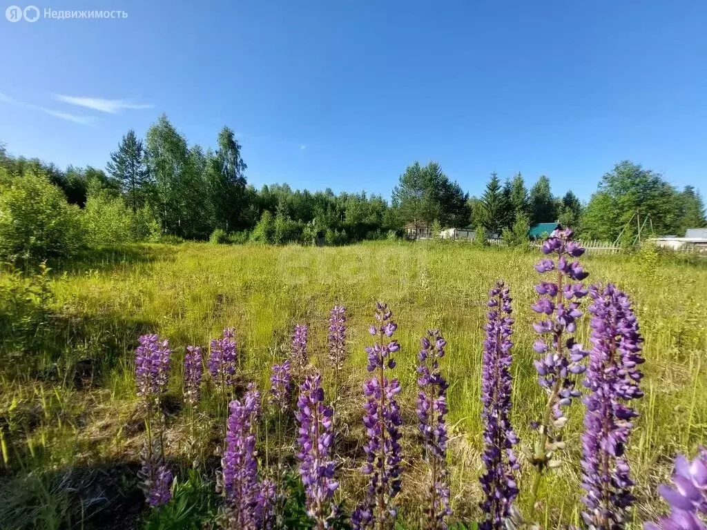 Участок в Республика Коми, муниципальный район Корткеросский, ... - Фото 2