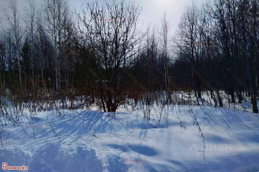 Участок в Свердловская область, Полевской муниципальный округ, с. ... - Фото 1