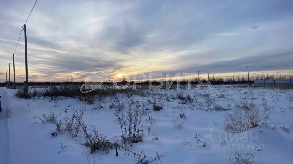 Участок в Тюменская область, Тюмень Большое Царево-1 ТСН,  (9.88 сот.) - Фото 1