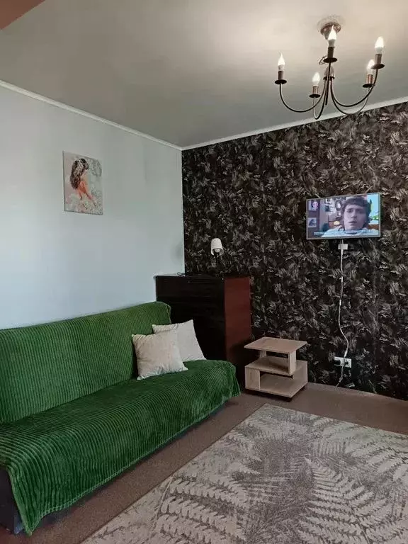 1-к кв. Красноярский край, Красноярск ул. Марковского, 50 (28.0 м) - Фото 1