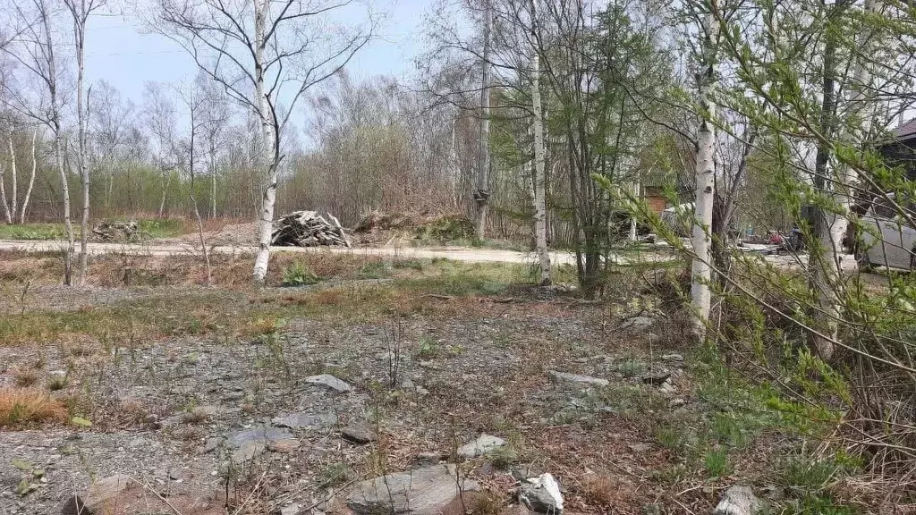 Участок в Сахалинская область, Южно-Сахалинск Дельфин СНТ, 106 (11.25 ... - Фото 1