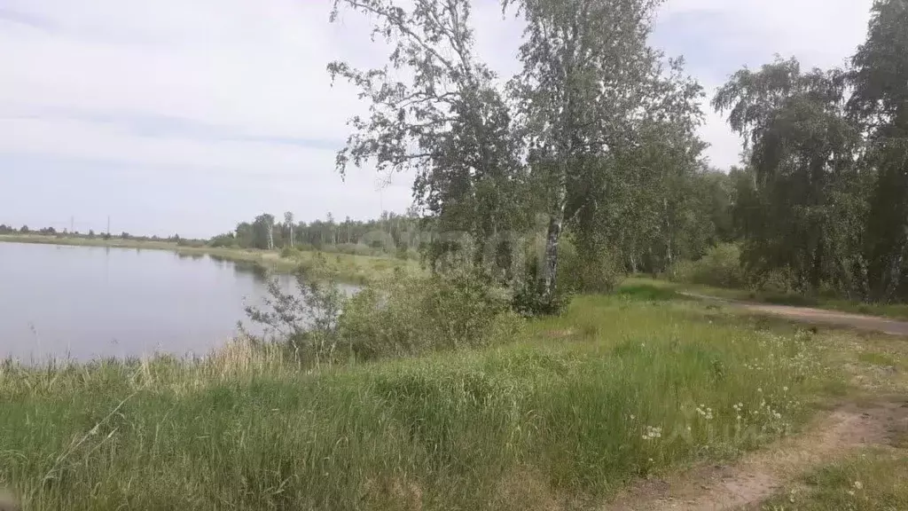 Участок в Тюменская область, Ялуторовский район, Виктория садовое ... - Фото 1
