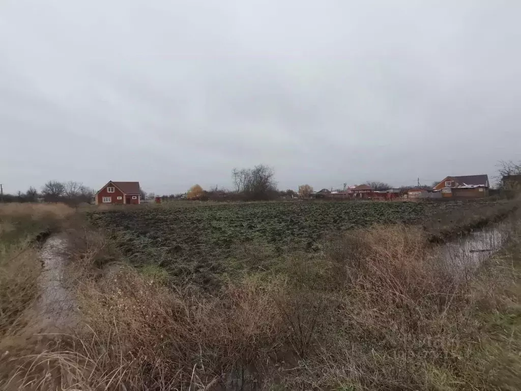Участок в Краснодарский край, Красноармейский район, Ивановское с/пос, ... - Фото 1