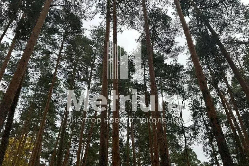 Продается участок в пос. Архангельское - Фото 1