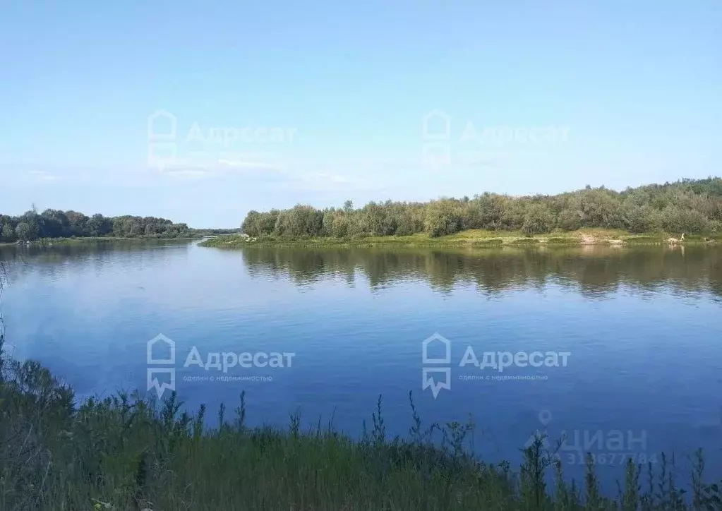 Участок в Волгоградская область, Иловлинский район, Новогригорьевское ... - Фото 0