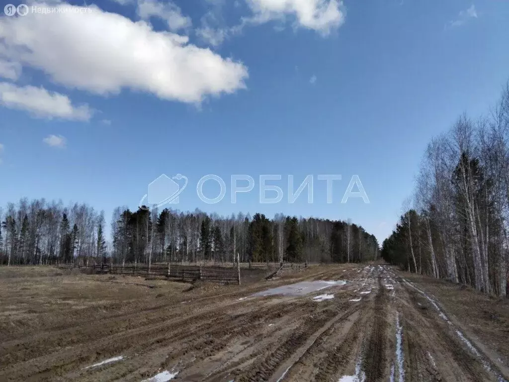 Участок в Нижнетавдинский район, посёлок Кунчур, Новая улица (5.4 м) - Фото 1