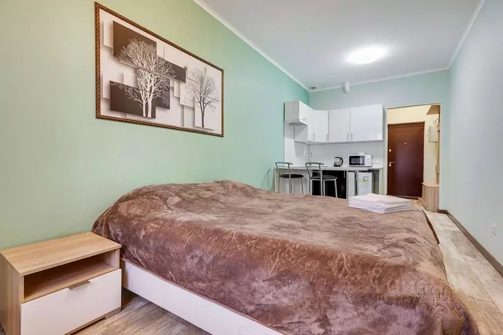 1-к кв. Ленинградская область, Никольское Тосненский район, ... - Фото 1