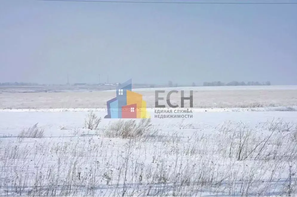 Участок в Тульская область, Алексинский район, д. Большие Пруды  ... - Фото 1