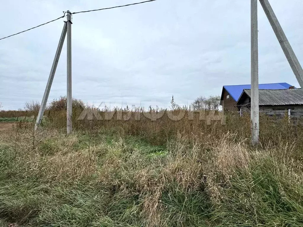 Участок в Новосибирская область, Колыванский район, д. Таловка ... - Фото 0