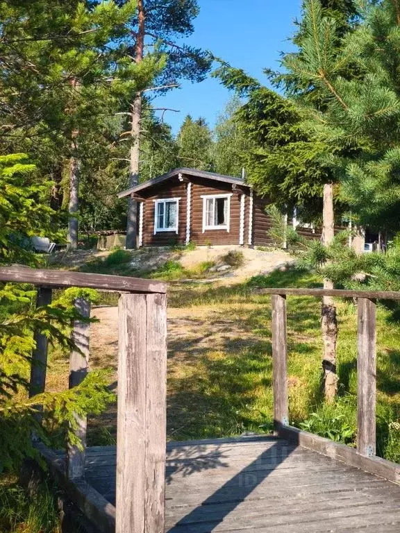 Дом в Карелия, Пряжинский район, Ведлозерское с/пос, д. Щеккила 37 (45 ... - Фото 2