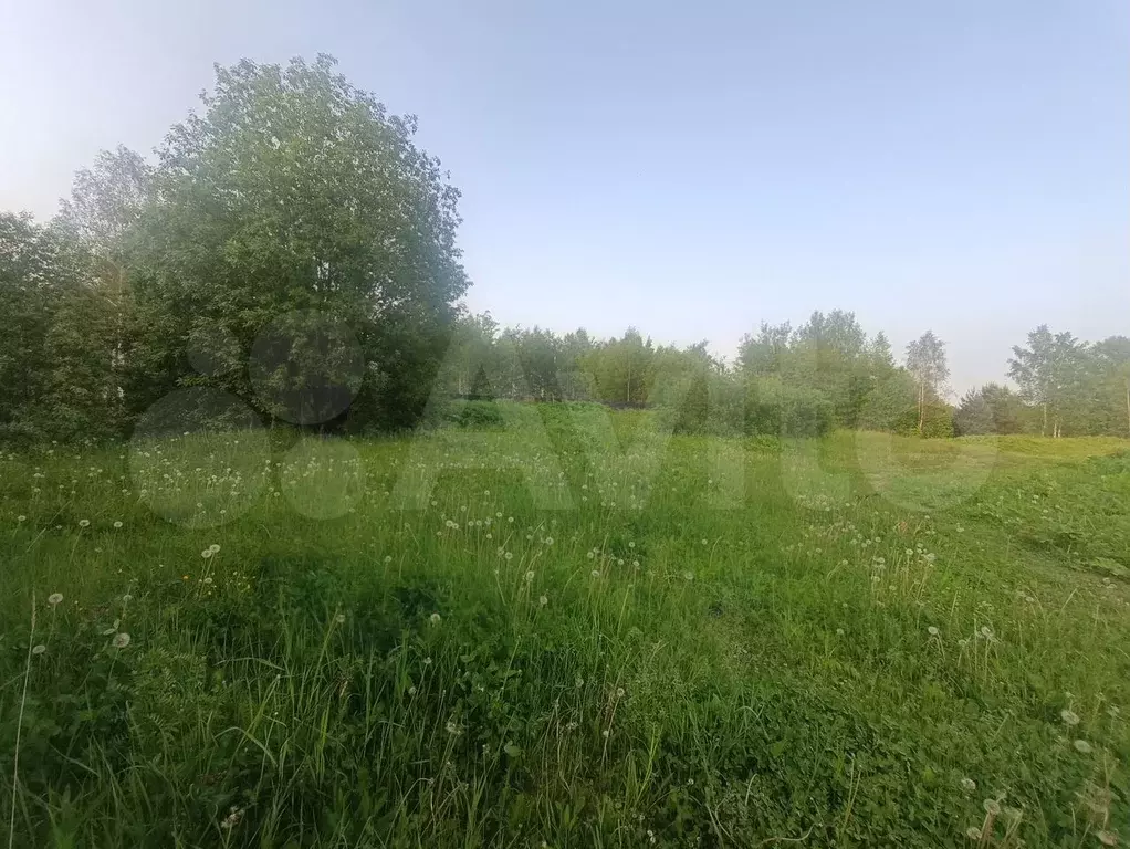 Участок 12,5 сот. (ИЖС) - Фото 1