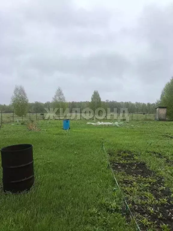 Участок в Новосибирская область, Коченевский район, Эко-городок ... - Фото 1