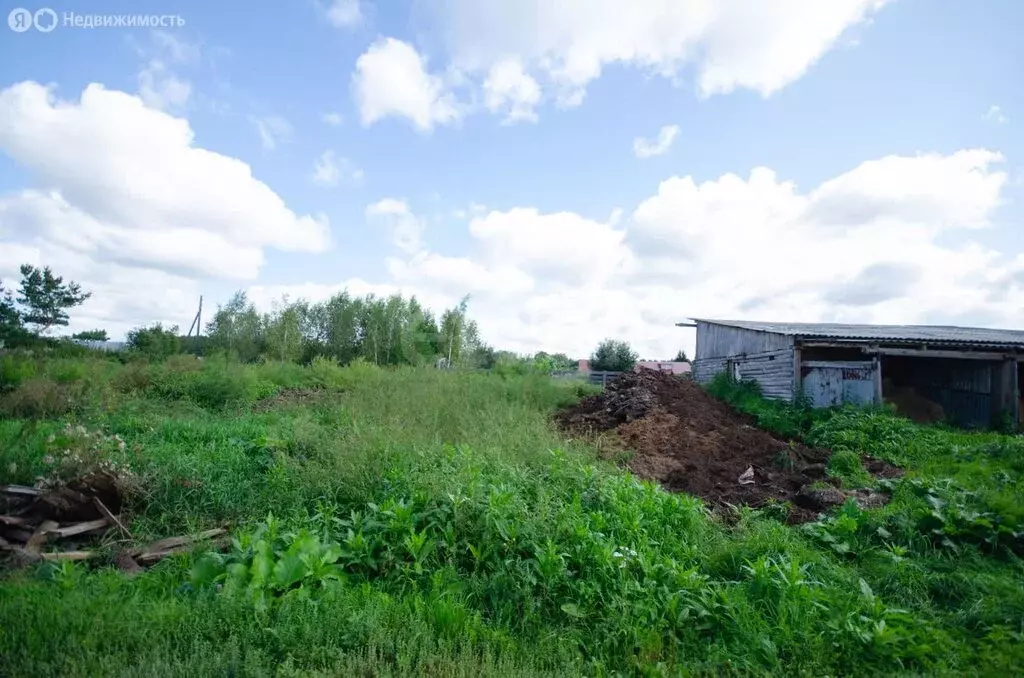 Участок в Тюменская область, Заводоуковский муниципальный округ, село ... - Фото 1