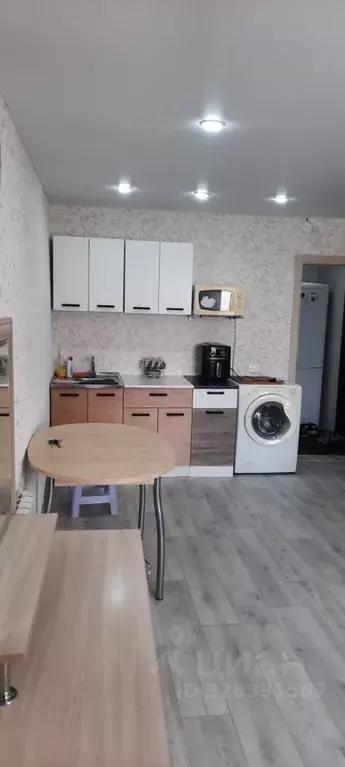 Студия Курганская область, Курган Солнечный бул., 5 (24.7 м) - Фото 1