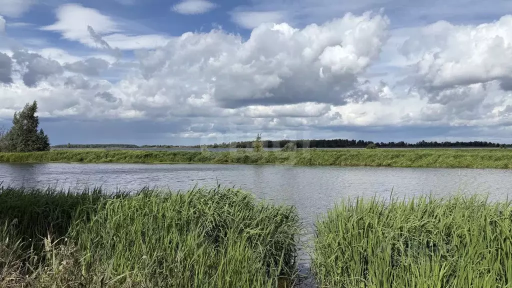 Участок в Костромская область, Кострома  (10.09 сот.) - Фото 1