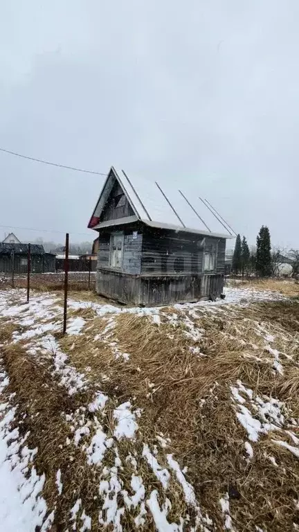 Участок в Ленинградская область, Киришский район, Будогощь пгт, ... - Фото 1