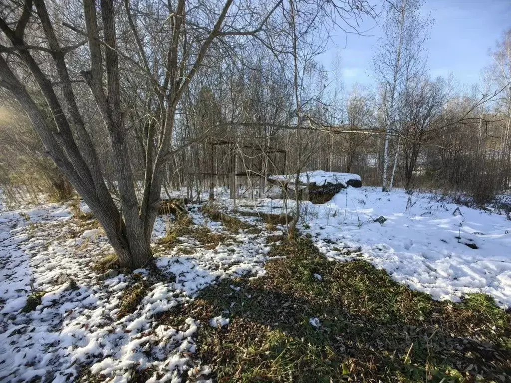 Участок в Новосибирская область, Искитимский район, Морозовский ... - Фото 1