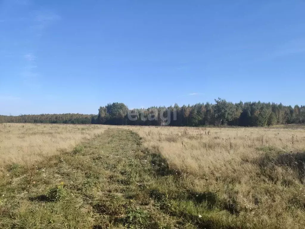 участок в смоленская область, смоленский муниципальный округ, . - Фото 0