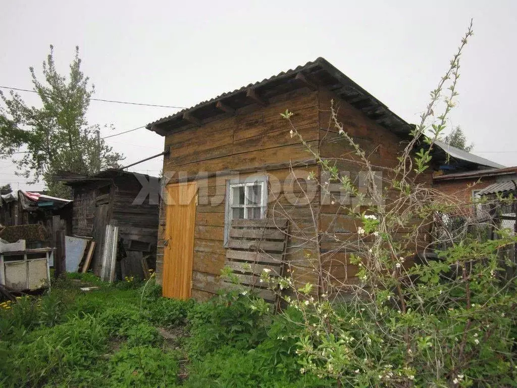 Дом в Новосибирская область, Бердск ул. Радищева (31 м) - Фото 2