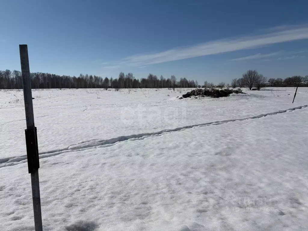 Участок в Мордовия, Саранск городской округ, с. Напольная Тавла  (10.0 ... - Фото 1