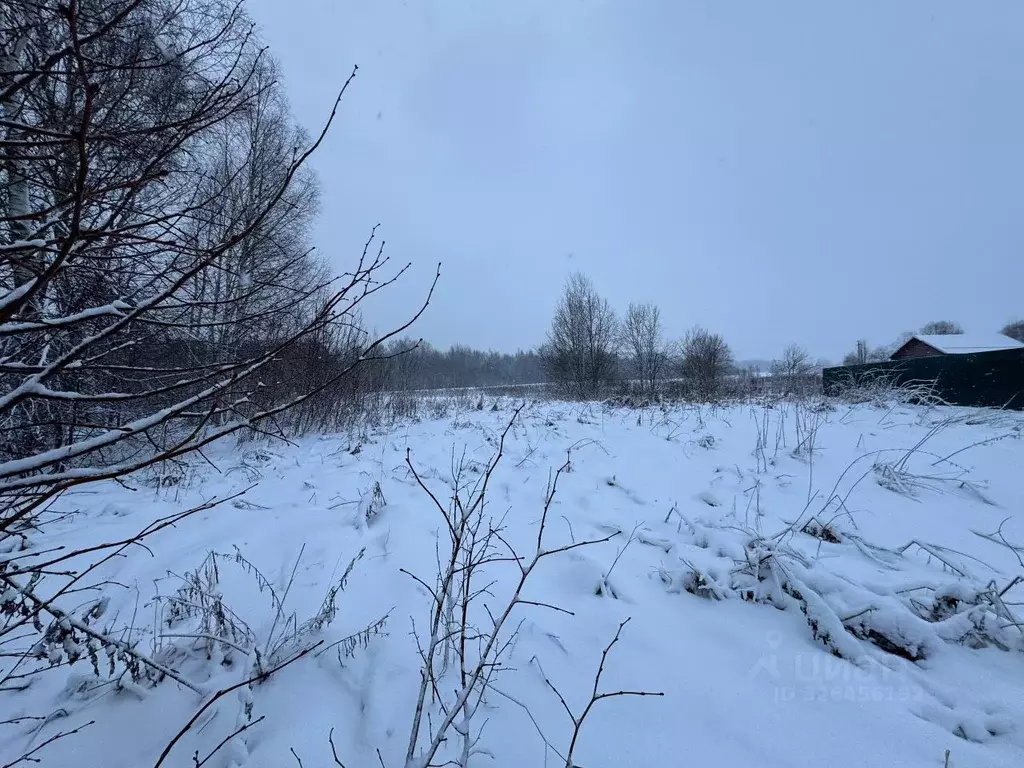 Участок в Московская область, Волоколамский муниципальный округ, д. ... - Фото 2