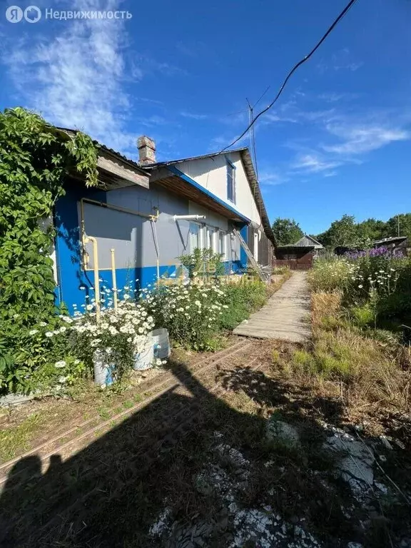 1-комнатная квартира: Южно-Сахалинск, Лесная улица, 20 (24.2 м) - Фото 1