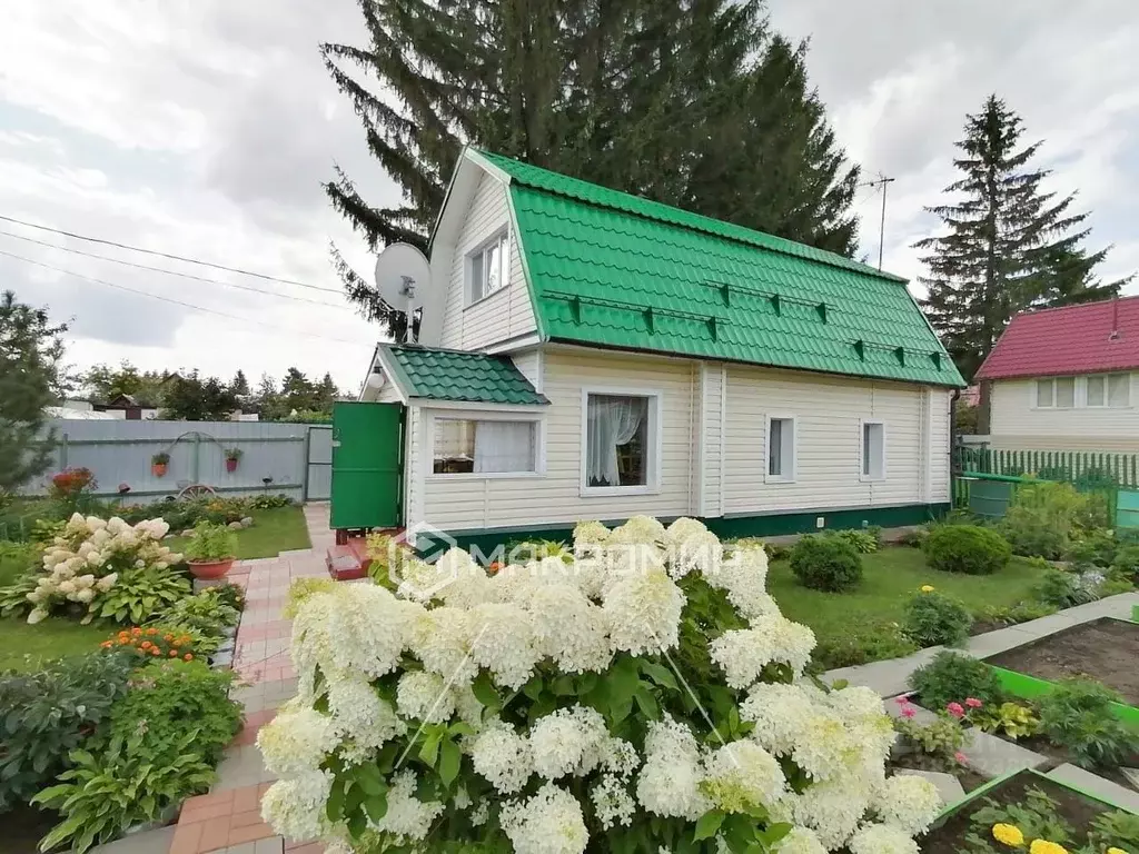 Дом в Новосибирская область, Колыванский район, Домостроитель СНТ 230 ... - Фото 0