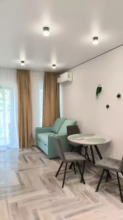 1-к кв. Краснодарский край, Сочи Курортный просп., 94/60 (30.1 м) - Фото 0