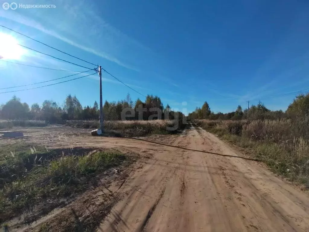 Участок в Костромской район, Сандогорское сельское поселение, деревня ... - Фото 2