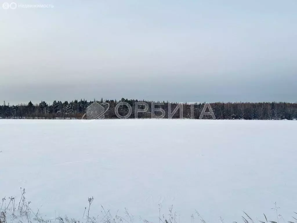 Участок в Тюменский муниципальный округ, село Успенка (6 м) - Фото 2