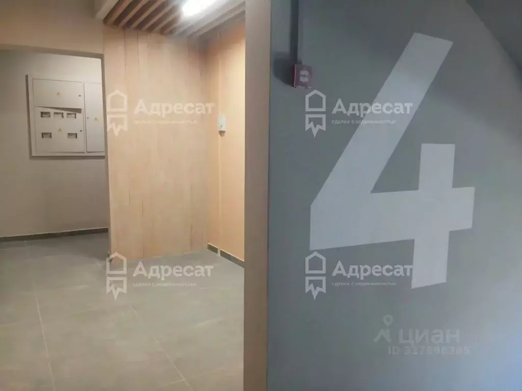 1-к кв. Волгоградская область, Волгоград просп. Маршала Жукова, 104 ... - Фото 2